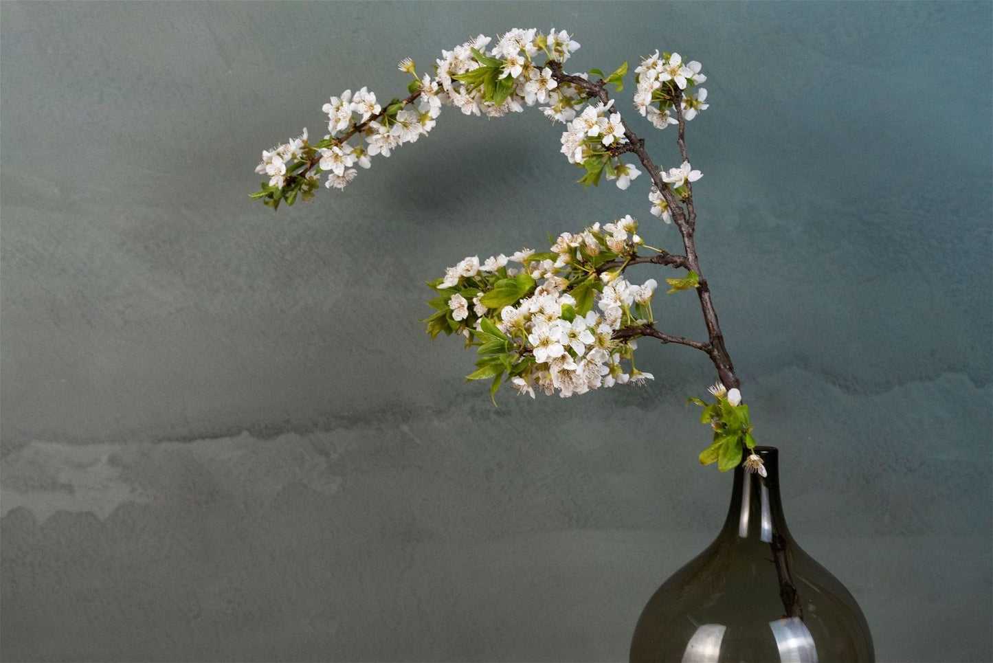 Marmorino Fine - CaSa Colori -